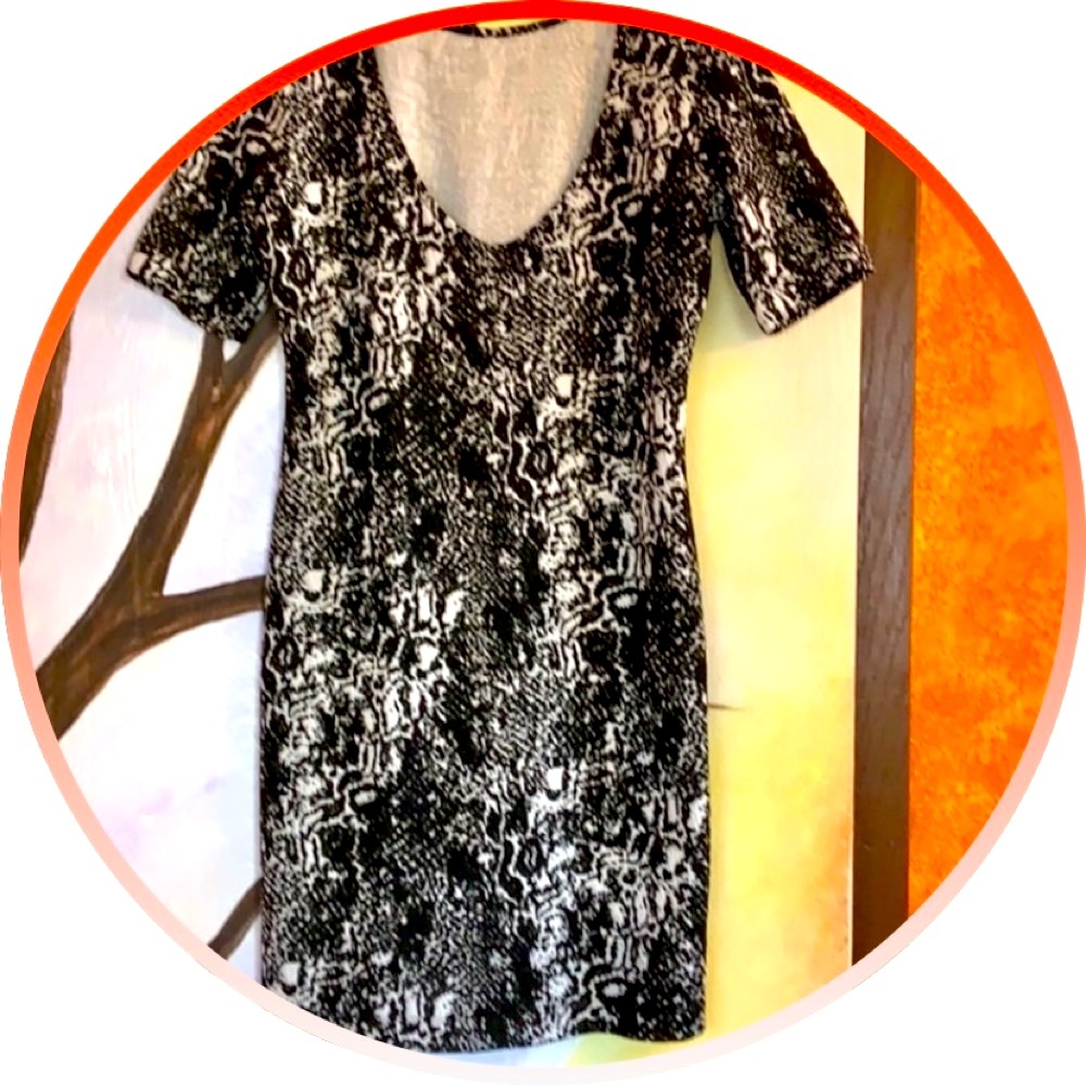 EUC Dress